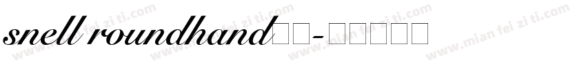 snell roundhand社团字体转换